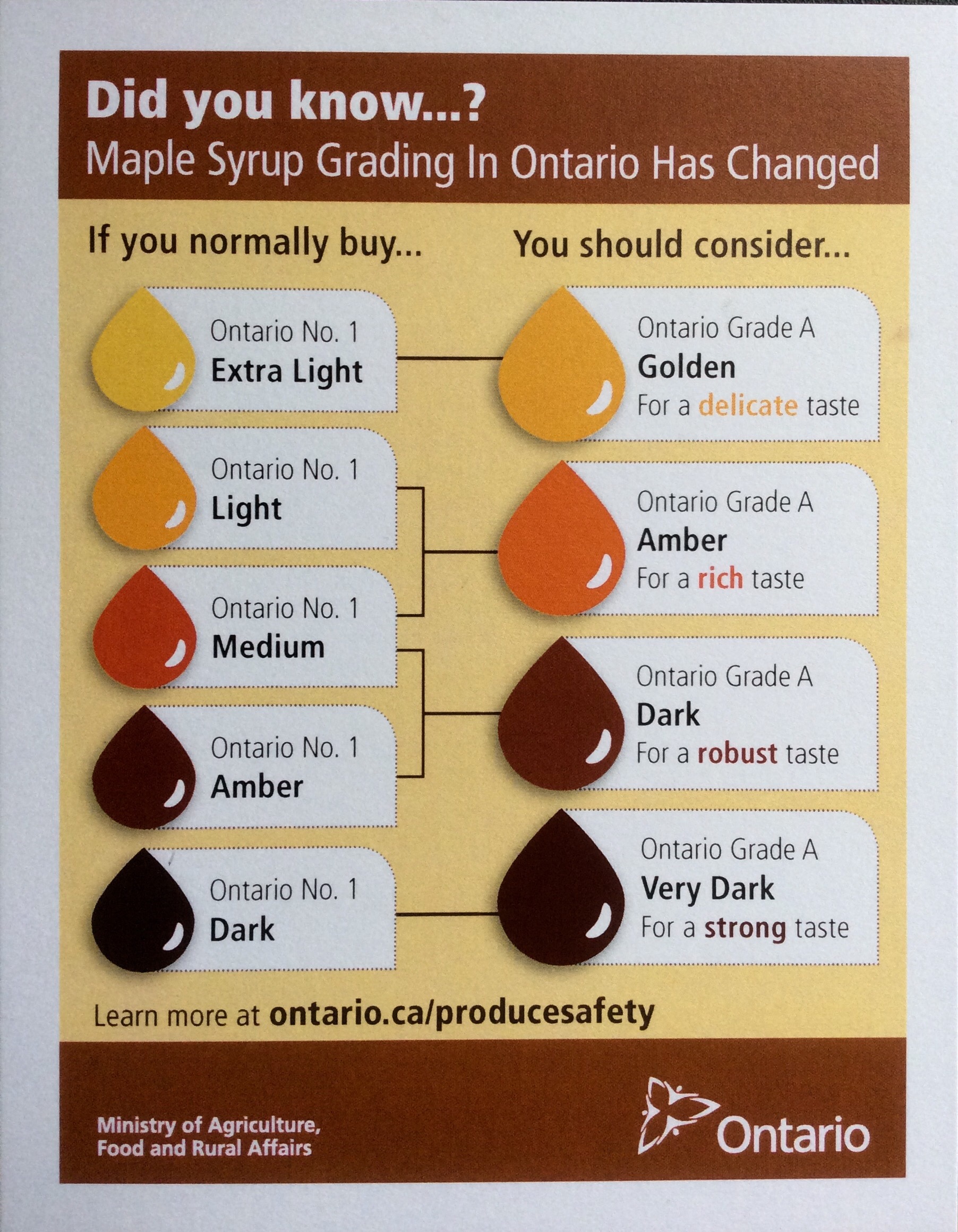 Maple Syrup Grades Chart