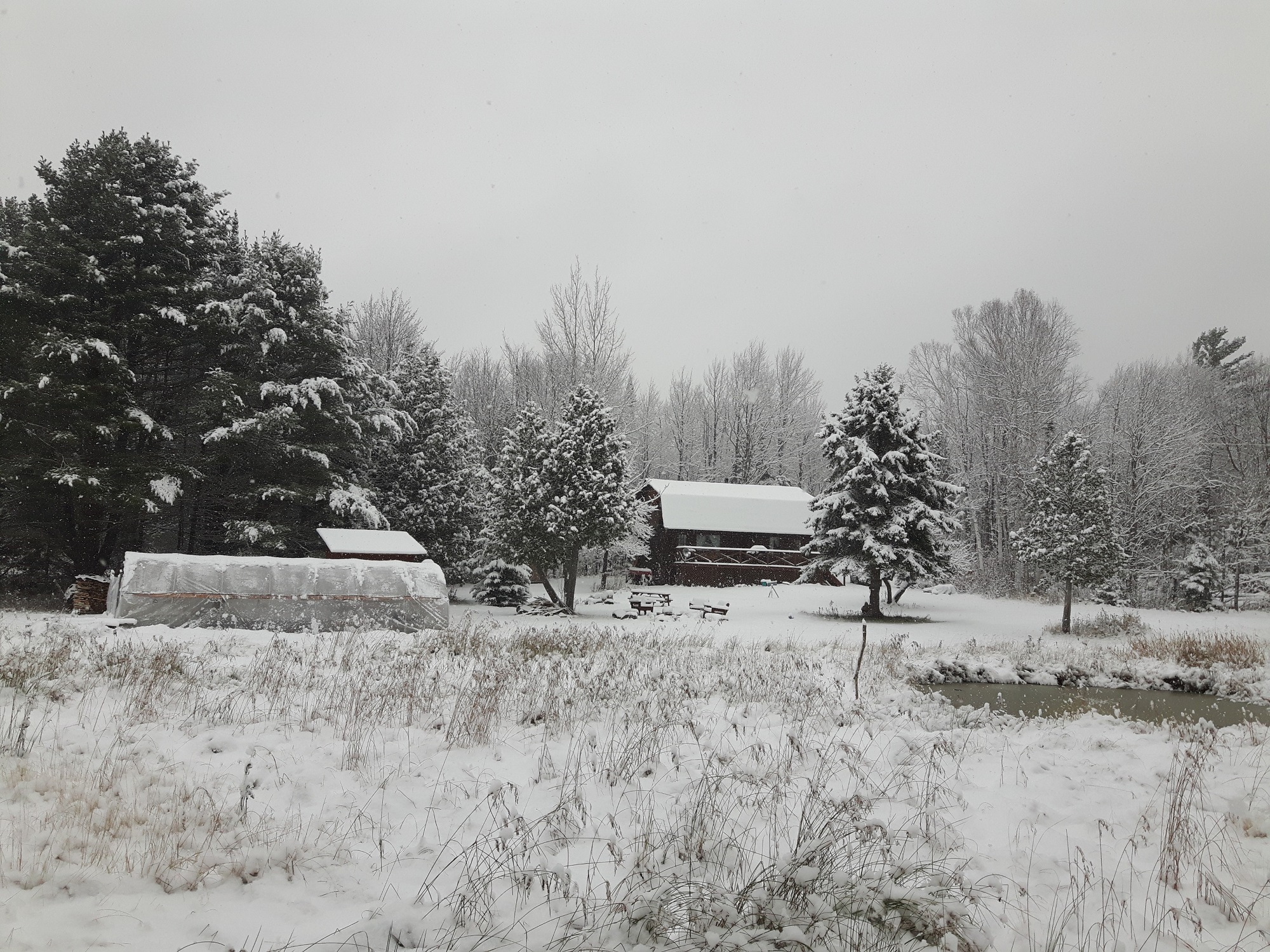 winter homestead resized